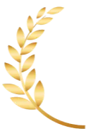 icon left award