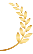 icon right award